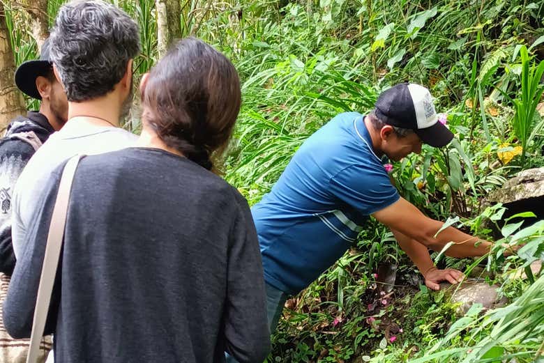 Aprendendo sobre a natureza