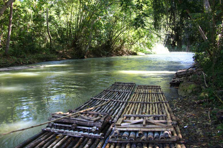 Disfrutando de la experiencia