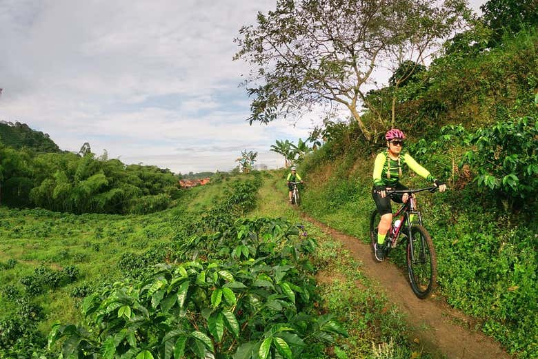 Disfrutando de la visita en bicicleta