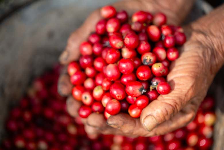 Make the most of your visit to Colombia!