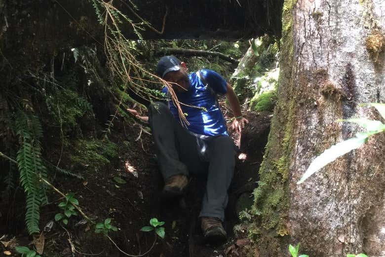 Desfrutando da aventura