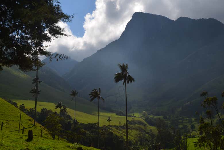 Percorrendo a reserva