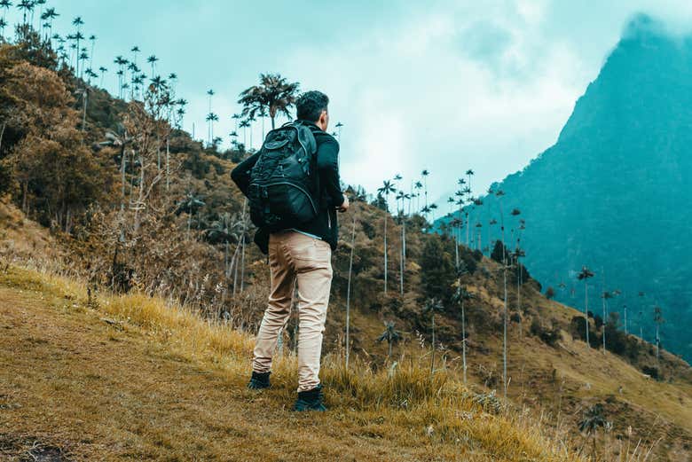 Admiring Cocora Valley's scenery