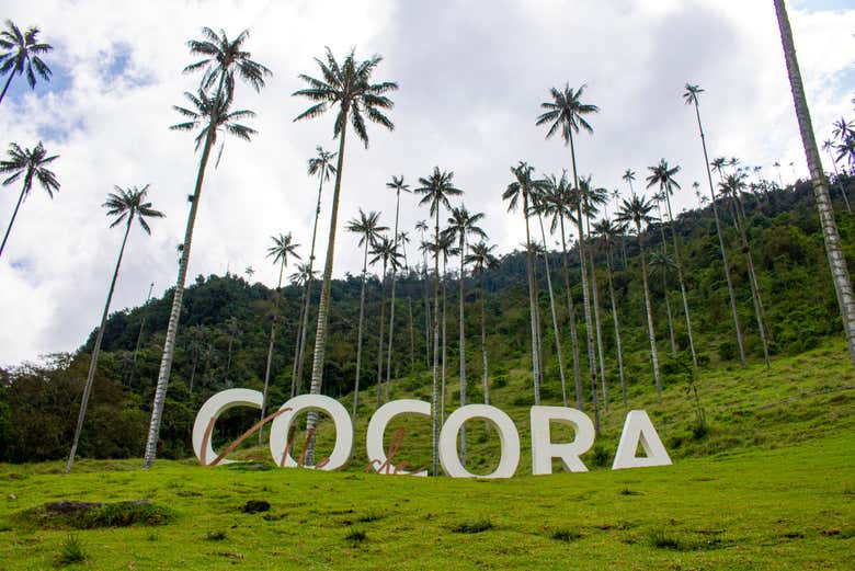 The Cocora Sign