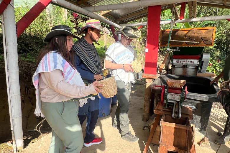 Learn all about cultivating coffee