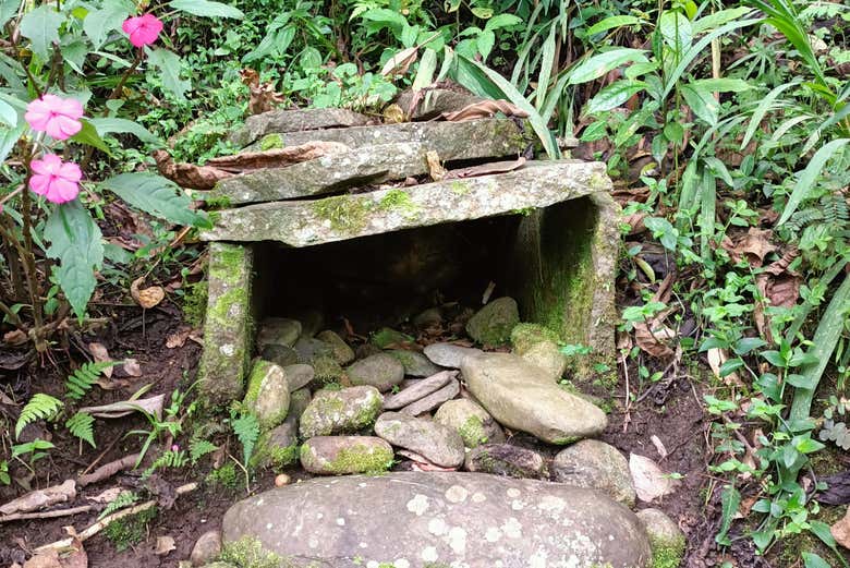 Detalhe das paisagens