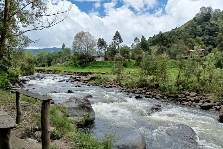 Naturaleza en estado puro