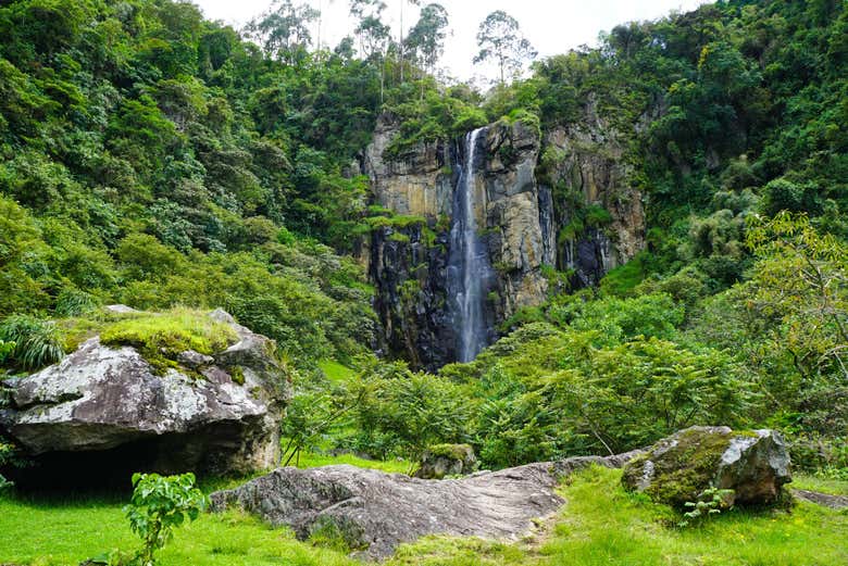 Paesaggi della Valle del Cocora