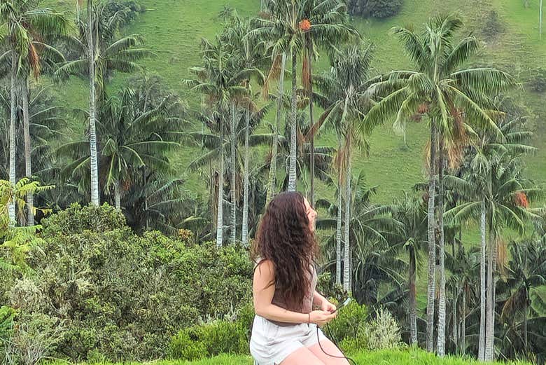 Contemplando las palmas de cera