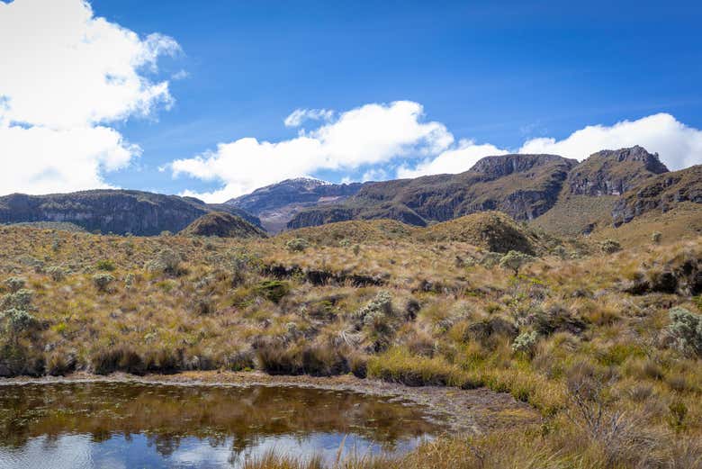 Parque Natural de Los Nevados