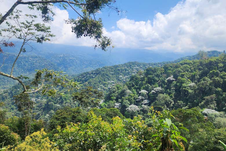 Vistas durante la caminata
