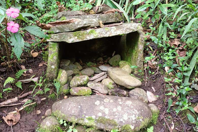 Palma de Cera Ecocultural Centre