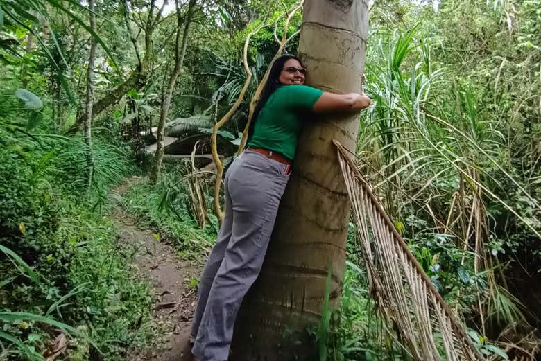 Abraçando uma das palmeiras