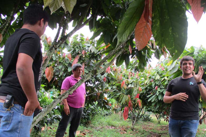 ¡Bienvenidos a la Finca el Argel!