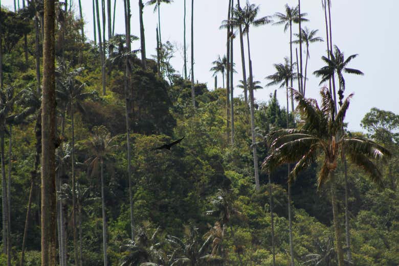 Alla scoperta di flora e fauna locali