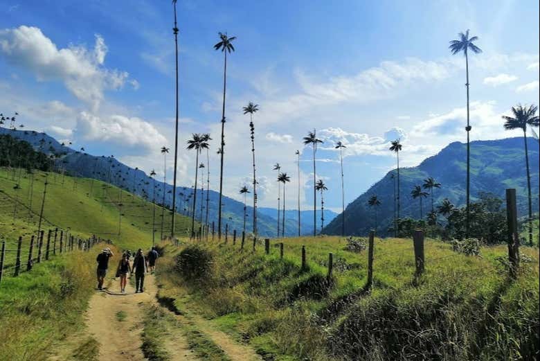 Durante el tour por el valle de Cocora