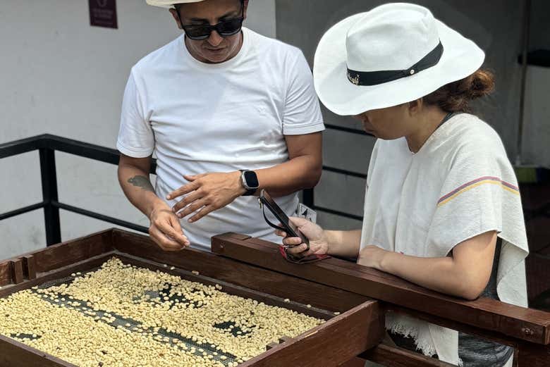 Conociendo las técnicas de secado artesanal