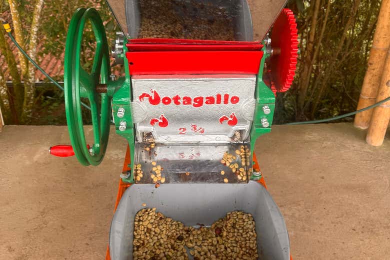 Etapa del trillado en el proceso del café