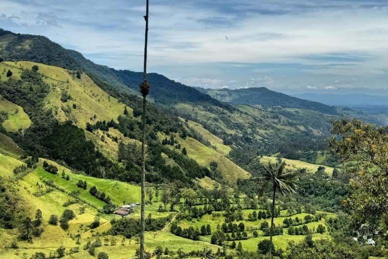 Naturaleza exuberante en el corazón del Cocora