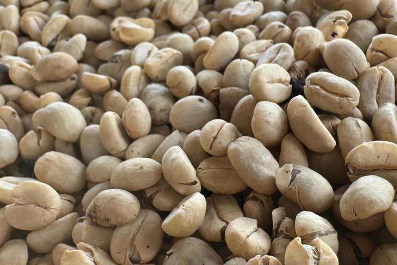 El grano en su forma más pura