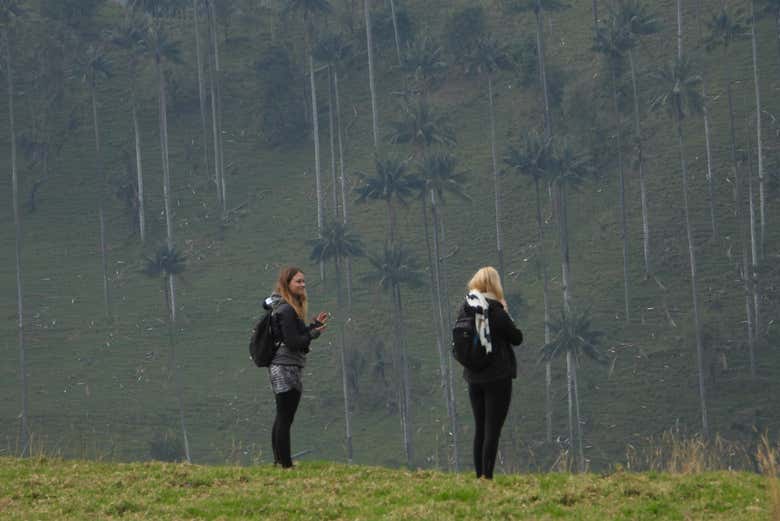 Un plan perfecto entre amigas