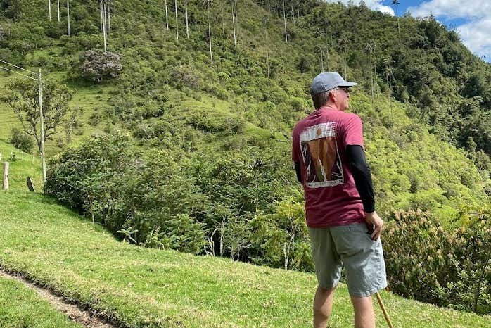 Admirando el santuario de palmas