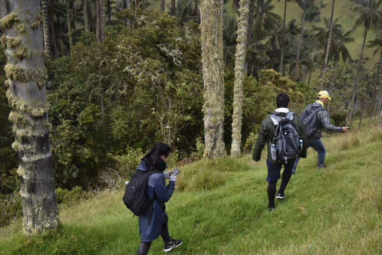 Join us on this day trip to the Machín volcano