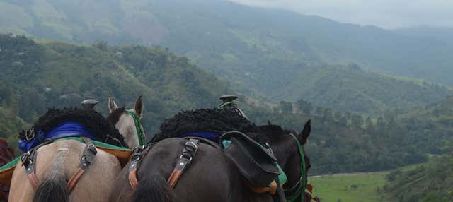 Horseback Riding in Salento