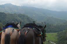 Passeggiata a cavallo a Salento