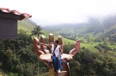 Tour por el Valle de Cocora