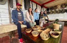 Visita a la finca cafetera Luger