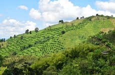 Vuelo privado en parapente sobre el Eje Cafetero