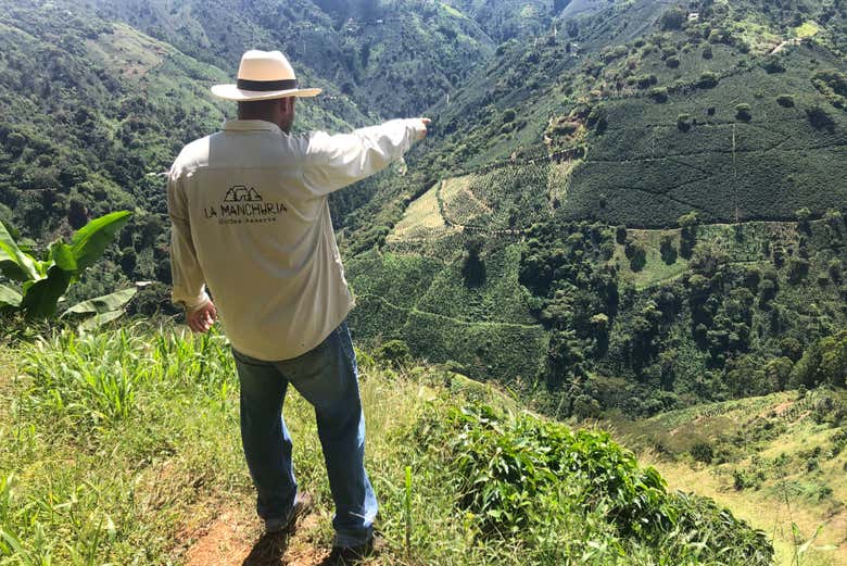 Atendiendo a las explicaciones del guía