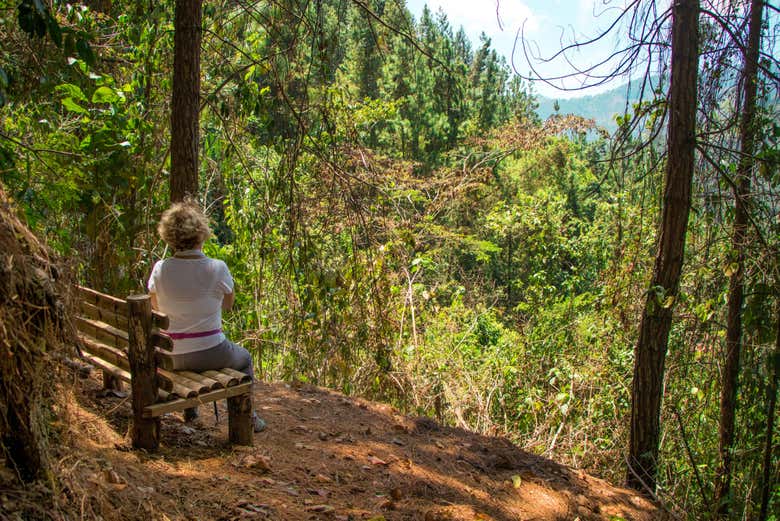 Conectando con la naturaleza