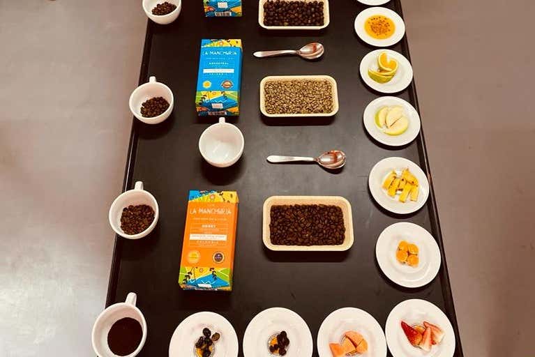 Listos para realizar la cata de café