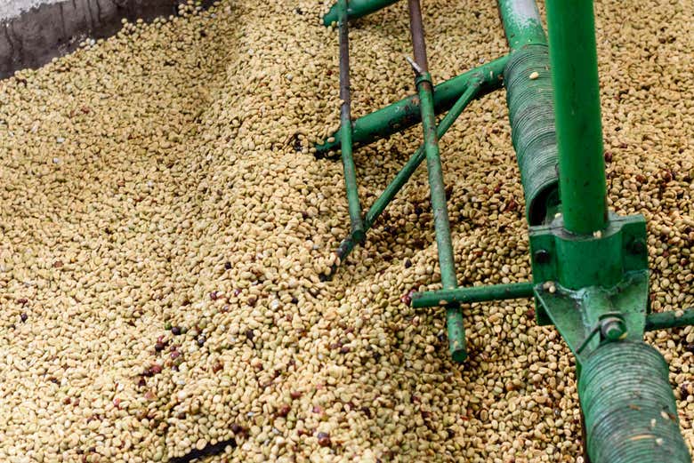 Visitando una fábrica de café colombiano