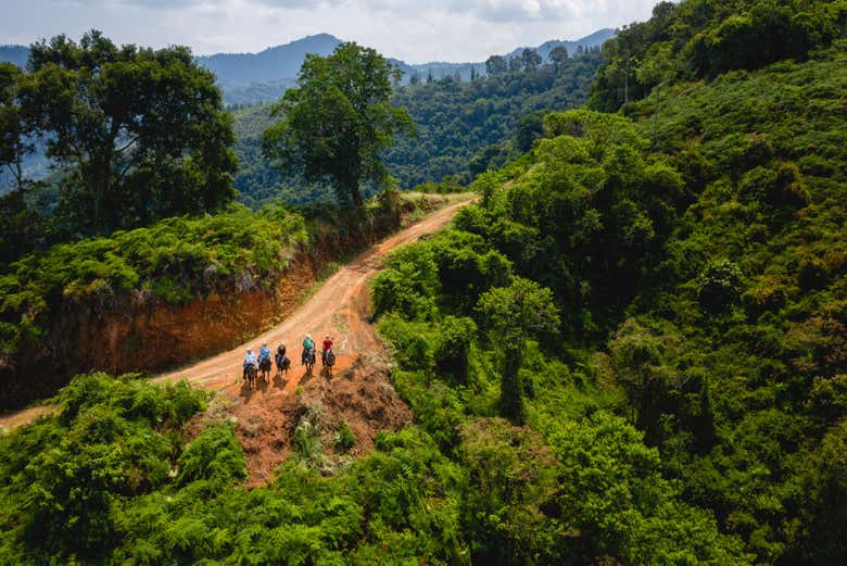 Ruta ecuestre por los cafetales de Salgar