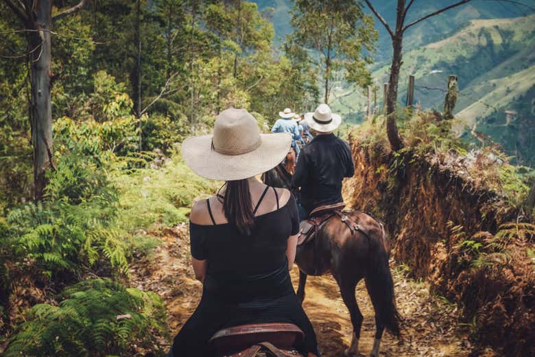 Adentrándonos en la reserva cafetera
