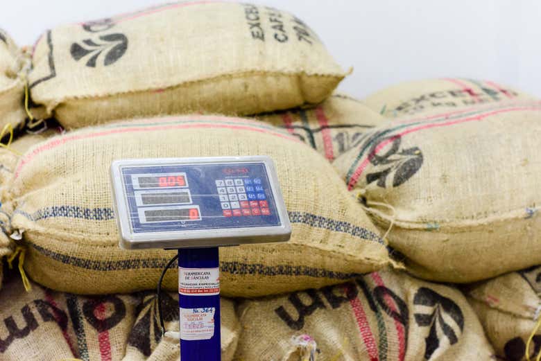 Contemplando los sacos de café en una fábrica de Salgar