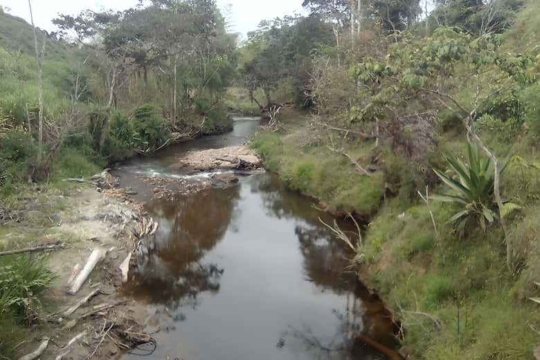 Caminho em Puerto Quinchana
