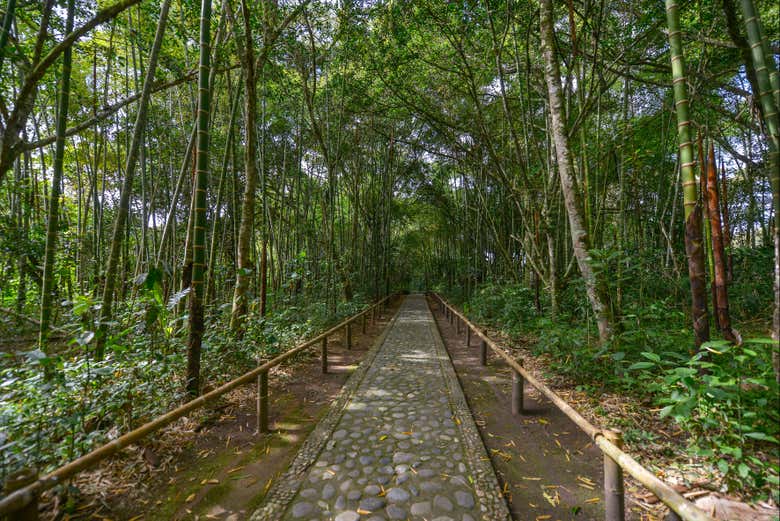 Trilha verde em San Agustín