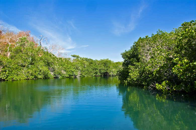 Acuario in San Andres