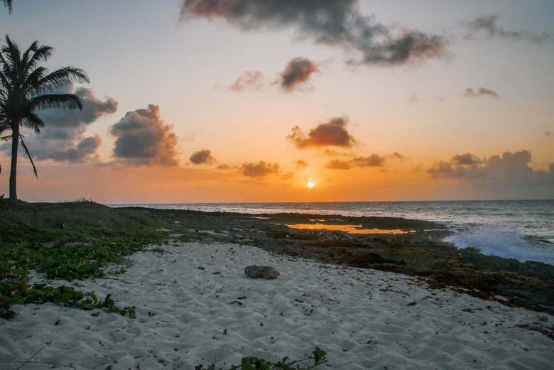 Enjoy the sunrise