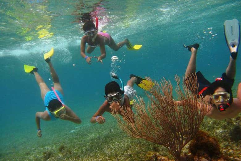 Snorkel ao amanhecer no Aquário Natural