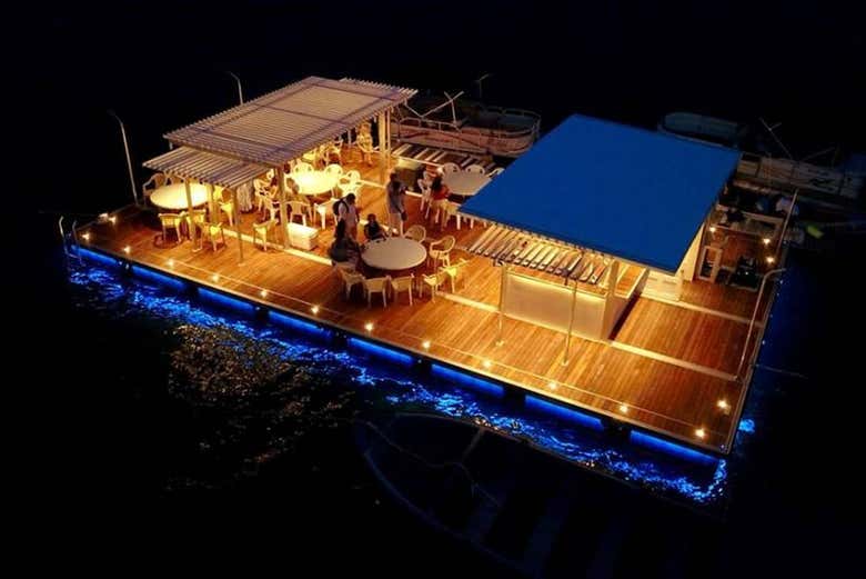 Bar Ibiza à noite
