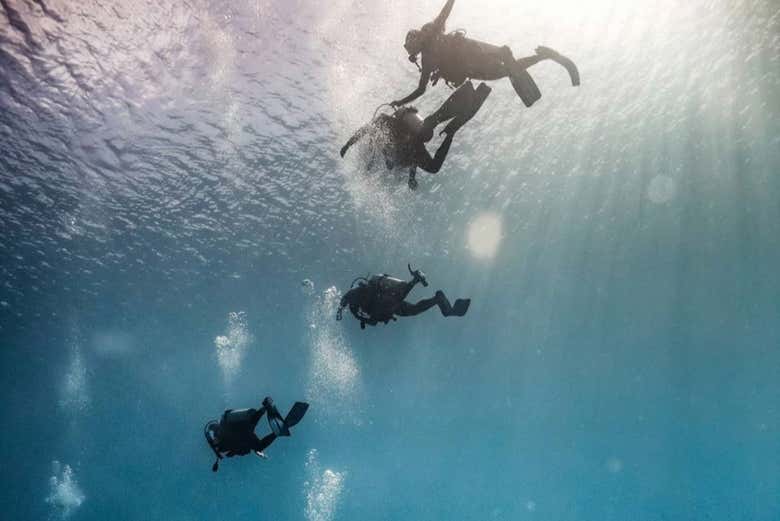 Pendant le baptême de plongée
