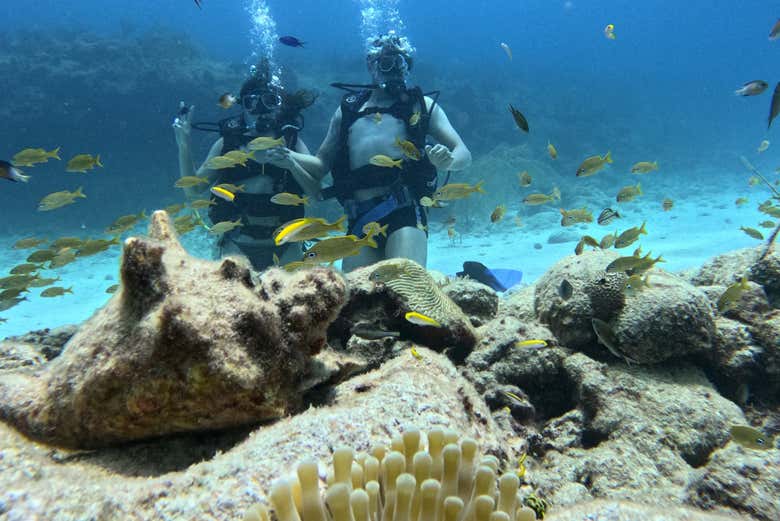Mergulhano nas águas de San Andrés, Colômbia