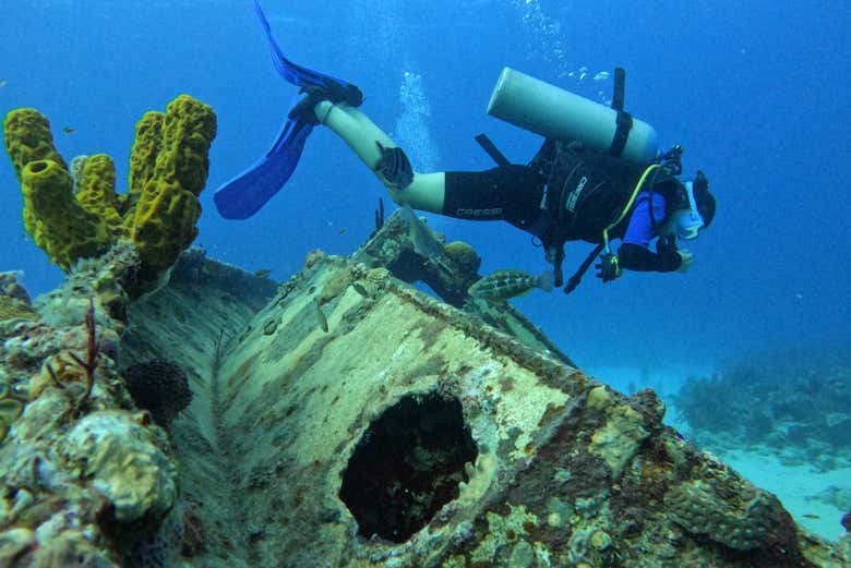 Dive down to the Blue Diamond shipwreck