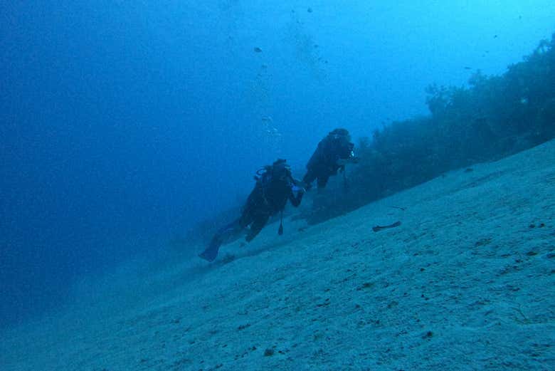 Explore the seabed of San Andrés