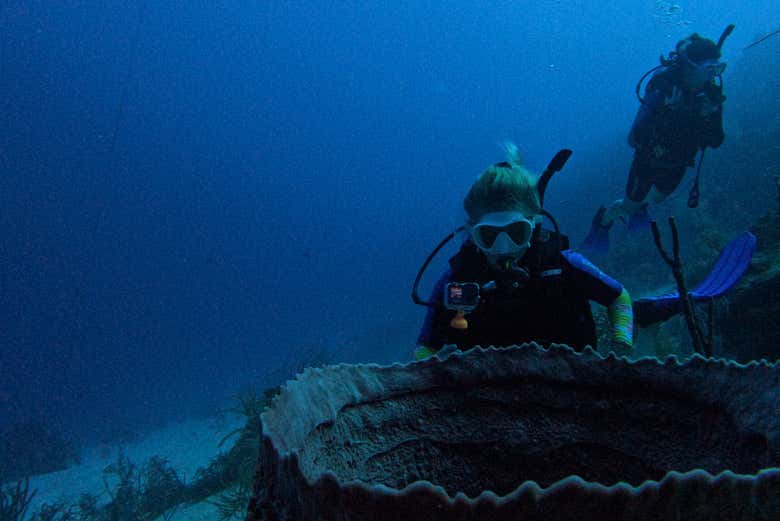 Find the sunken treasures of San Andrés